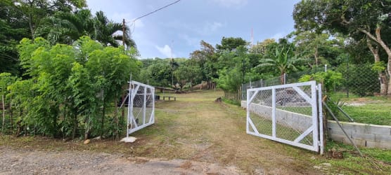 Lush vegetation and mature trees on residential land in Villa Rosario Capira Panama