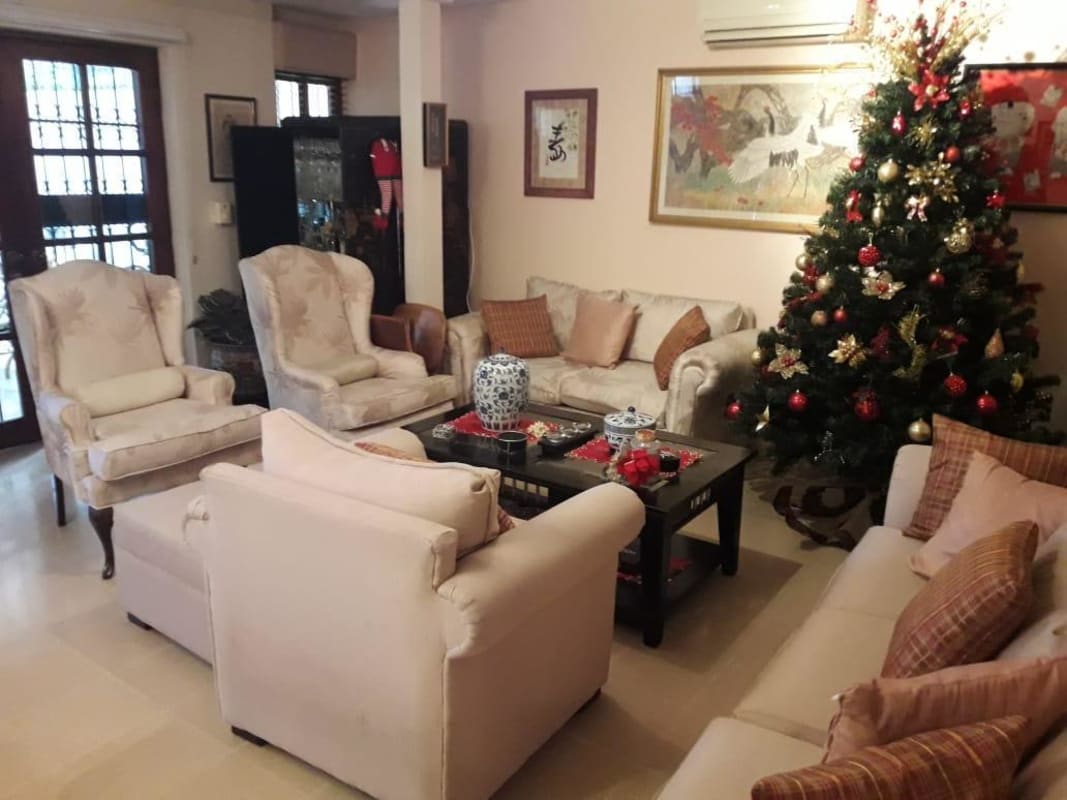 Warm living area decorated for Christmas, beige sofas, tree, art, La Loma Panama City
