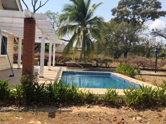 Living room with sofas, accent wall, and garden view Coronado Panama house for rent