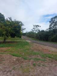 Rustic road access with trees in El Espino land plots San Carlos