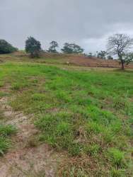 Open countryside land plot with trees in El Espino Panama