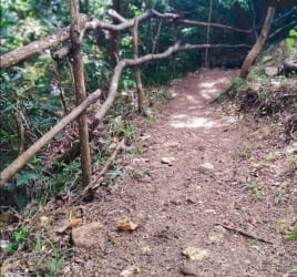 30,000 m² Rural Land for Eco Project in Sora Chame Panama