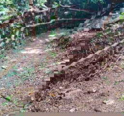 Land for Sale in Sora - 0 bedrooms