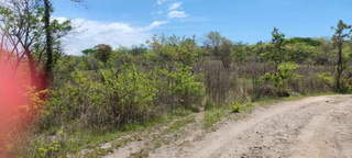 Land/Plot for Sale in El Higo - 0 bedrooms