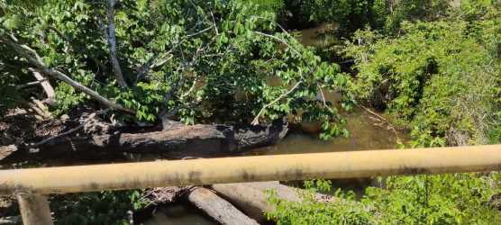 View of small creek and native vegetation near Panama beach land for sale