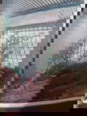 House for Rent in Pacora - 2 bedrooms