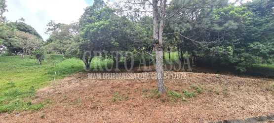 Forested vacant lot on mountain slope in Altos del María Panama suitable for building