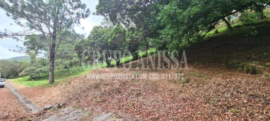 Sloped wooded lot with road access and mature trees in Altos del María mountain community Panama