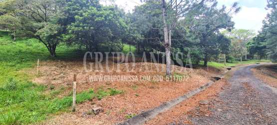 Open plot of mountain land featuring trees and grassy terrain in Altos del María Panama