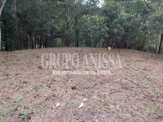 Land Lot for Sale in Pedregal - 0 bedrooms