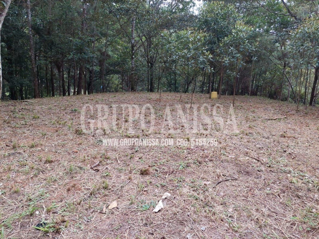 Spacious forest lot for sale inside Cerro Azul mountain private community Panama