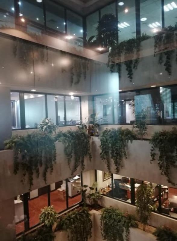 Atrium lobby with natural light greenery and glass design in PH BICSA Financial Center Obarrio