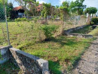 Green open parcel with mature trees ideal build site Nueva Gorgona beach area Panama