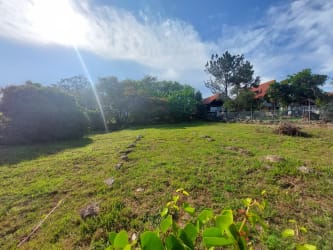 Flat vacant land with mature trees and fencing near Gorgona beach Panama
