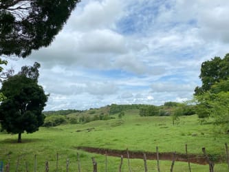 Green fenced pasture hills quarry property sale Herrera Province Panama