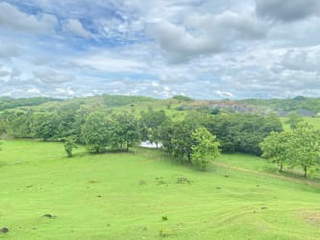 Land for Sale in Las Minas - 0 bedrooms