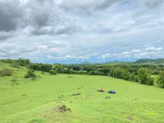 Wide countryside fields rolling hills Sector El Moro Herrera Panama land for sale