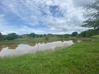 Water pond surrounded by green field countryside quarry concession land Herrera Panama