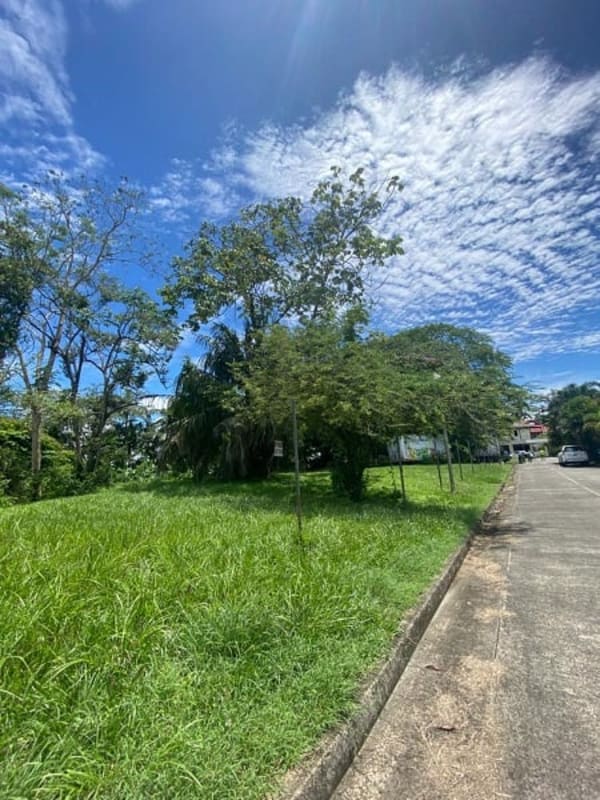 Open grassy land with dense trees and small house in Diablo Ancón near Panama Canal