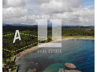 Overhead photo of forested beachfront property with white sand beach Palenque Colón