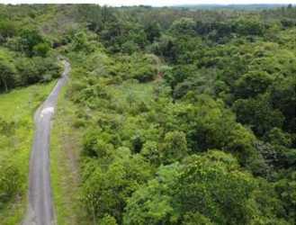 Aerial of green forested property with paved road winding through countryside of La Ermita San Carlos