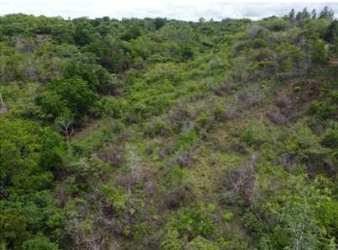 Large Countryside Land Plot Near Beaches San Carlos Panama