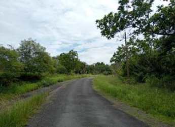 Vacant green land parcel with wooded areas and utility pole in countryside of San Carlos Panama