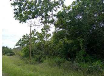 Country road curving through lush green environment with trees in San Carlos Panama