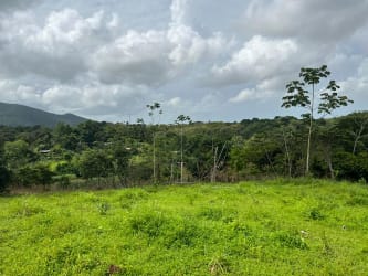 Wide vacant green plot surrounded by rural landscape in Cerro Silvestre Arraiján Panama