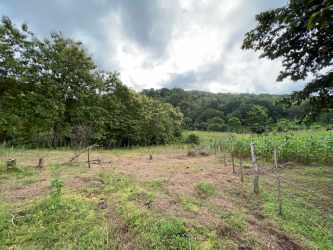 57,954 m² Fenced Land near Arraiján Metro Route