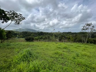 Green cleared grass land with scattered trees at Cerro Silvestre, Arraiján Panama