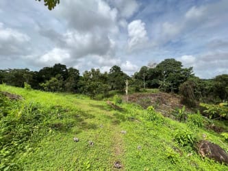 Vacant countryside fenced lot with trees and greenery panoramic view in Arraiján Panama