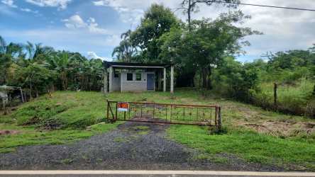 Countryside lot with driveway access, mature trees, and unfinished utility building