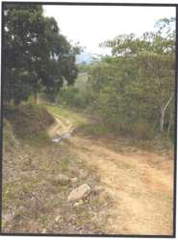 Land for Sale in Olá - 0 bedrooms