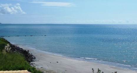 Contemporary tropical home with palm-lined driveway and lush landscaping at oceanfront Vistamar