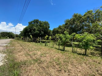 Dirt road access with tropical greenery power lines at beachfront lot Farallon Panama