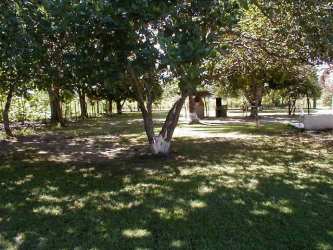 Spacious yard with mature trees and shaded areas near Pacific beach in Panama