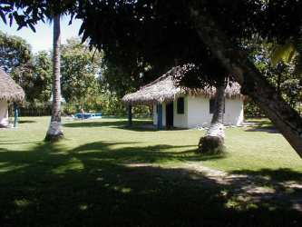 Palm trees, pool, thatched huts next to development parcel near Farallon beach Panama
