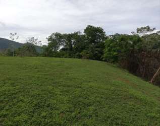 Open pasture with scattered palm trees on land for development Arraiján