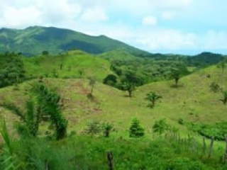 Land for Sale in Bique - 0 bedrooms