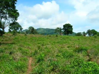 Grassy land with mountain views and open skies rural Panama land sale