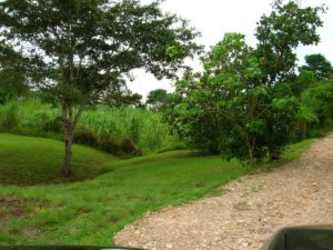 Unpaved gravel road with mature trees and green surroundings access to land Bique Panama