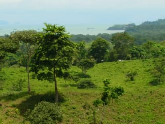 Vast rolling hills with native vegetation land for urbanization in Bique Arraiján Panama