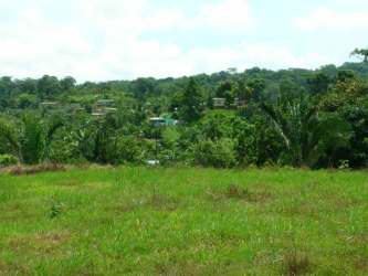 Grassy open field with distant homes land for sale in Panama