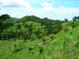 Green rolling hills with tropical plants perfect for development Bique Panama
