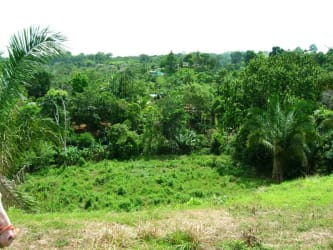 Lush wooded hillsides perfect for neighborhood planning Arraiján