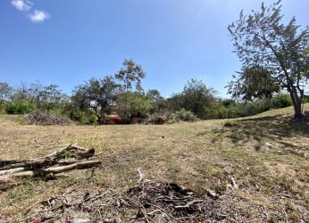 Open dry grass lot with scattered trees in sunny Coronado Beach Panama