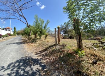 Vacant lot with natural vegetation and clear blue sky in Coronado Beach Panama