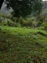 Green lot with dense vegetation and scenic mountain view in Valle de Antón Coclé Panama