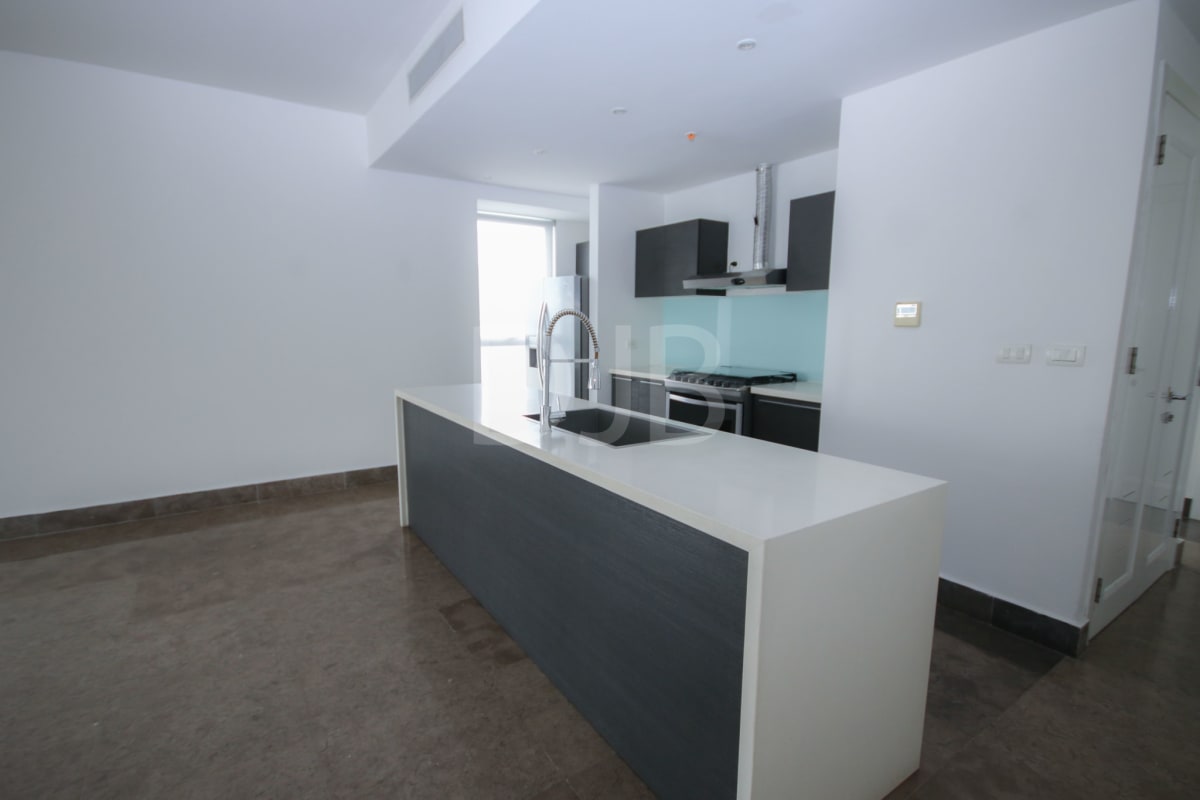Large modern kitchen with island, stainless steel appliances, premium finishes at BICSA Tower